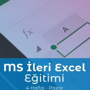 Nette Kariyer Microsoft İleri Excel Eğitimi